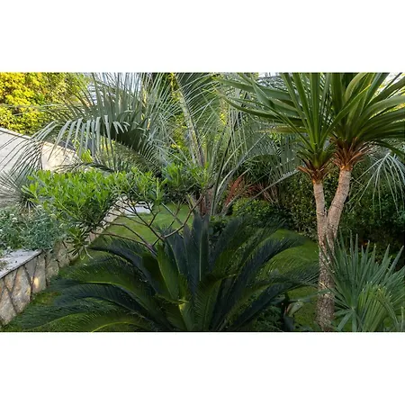 Σπίτι διακοπών In With Wifi Njivice